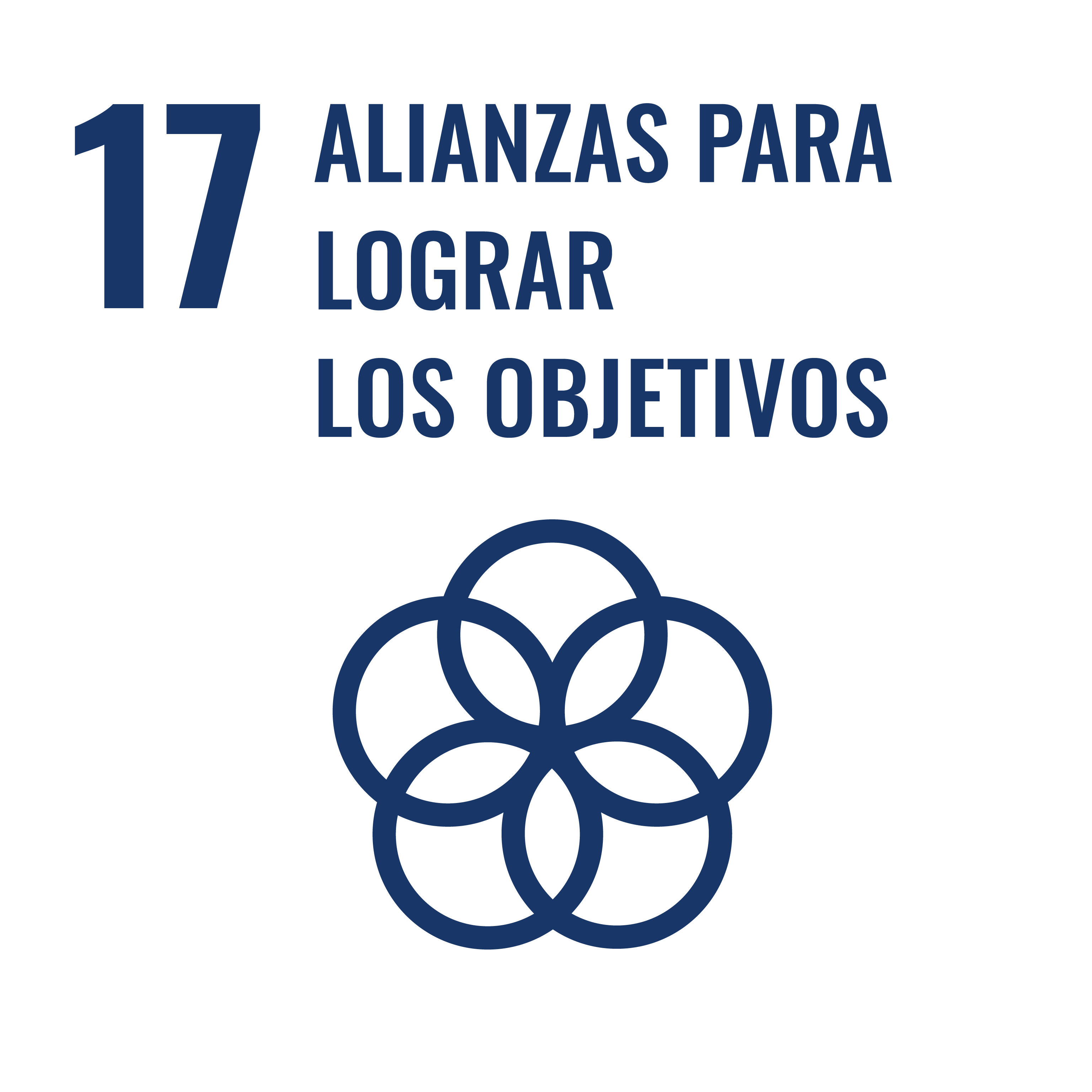 ODS: Alianzas para Lograr los Objetivos